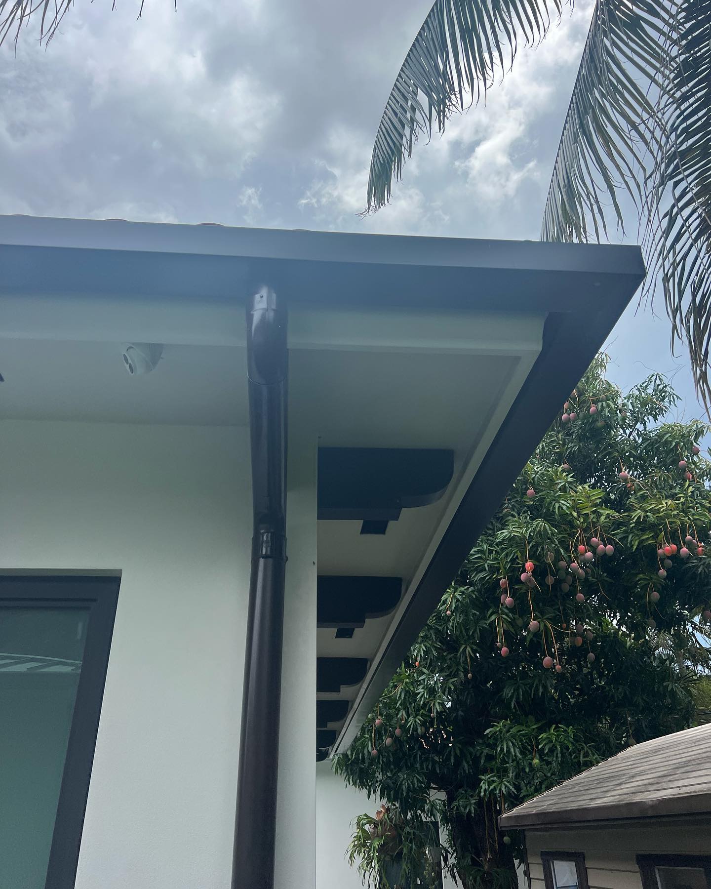 Dark round downspout running from eave past a mango tree on a white home.