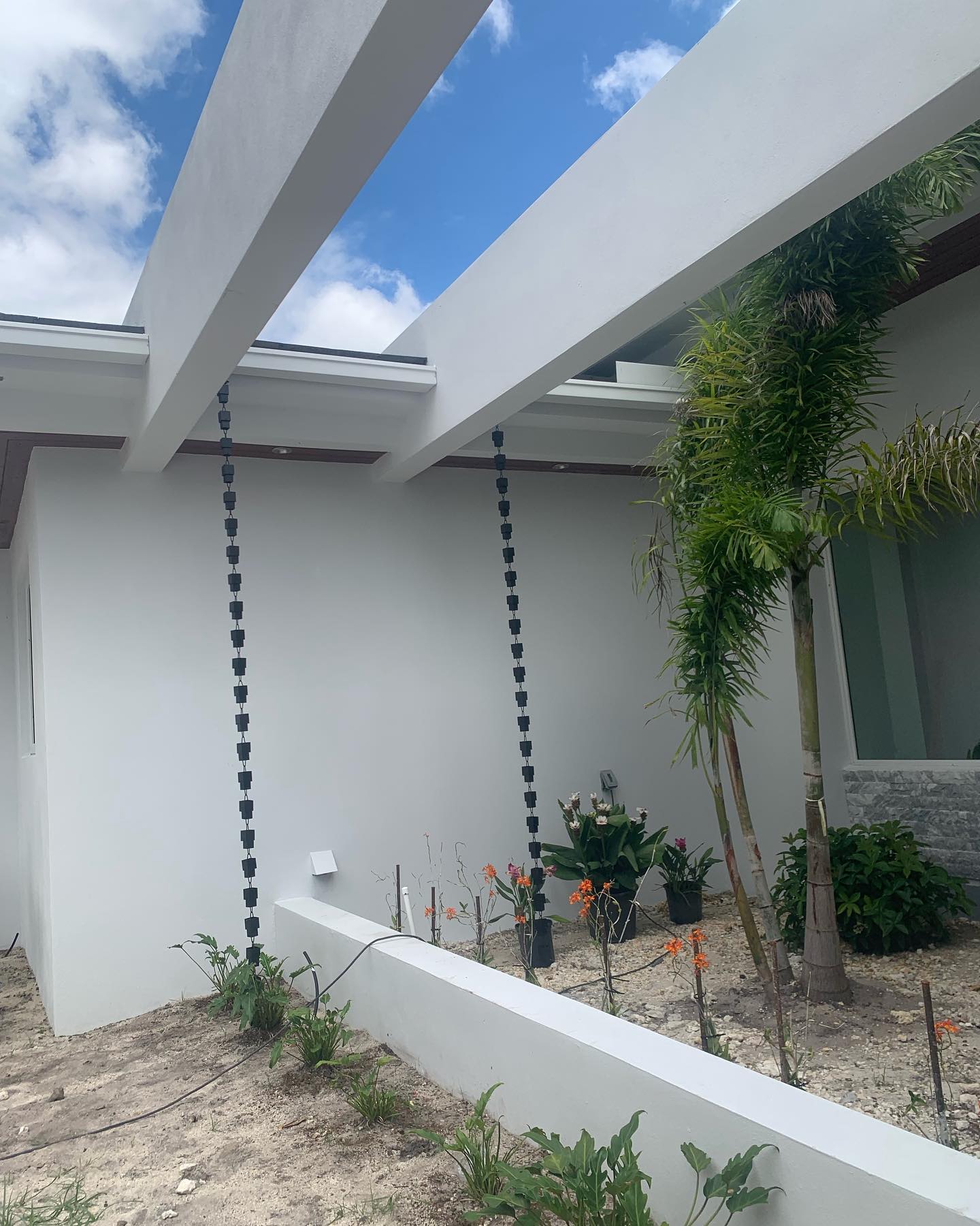 Two black cup rain chains on white modern home with pergola and tropical plantings.